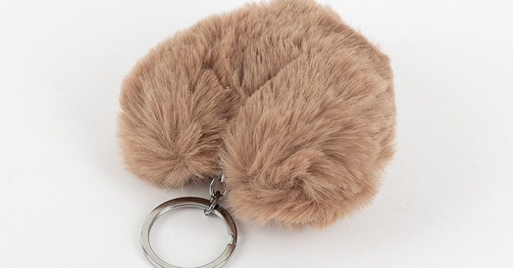 جاسوئیچی خز مدل قلب جاسوئیچی خز مدل قلب