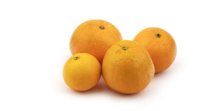 پرتقال تامسون شمال – 1 کیلوگرم 