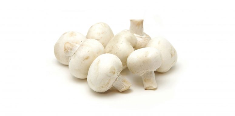 قارچ سفید درجه یک – 1 کیلوگرم قارچ سفید درجه یک – 1 کیلوگرم