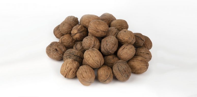 گردو ايرانی پوست کاغذی – 1 کیلوگرم 