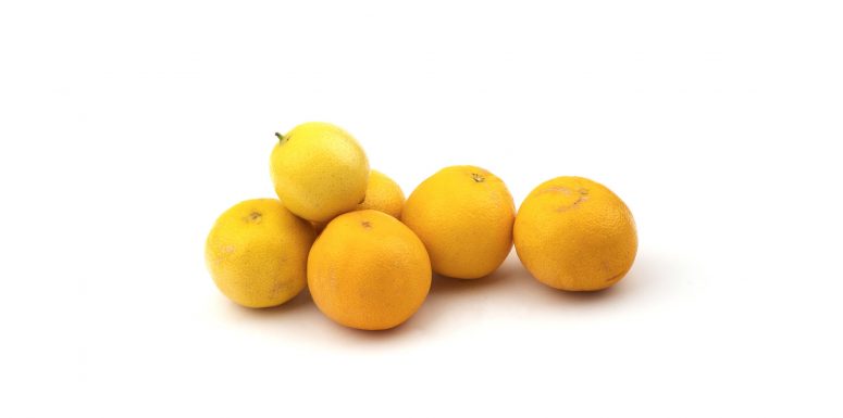 لیمو شیرین – 1 کیلوگرم 