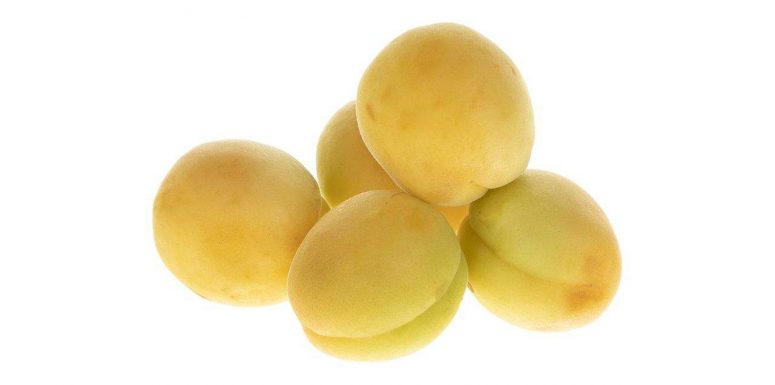 زردآلو – 1 کیلوگرم 