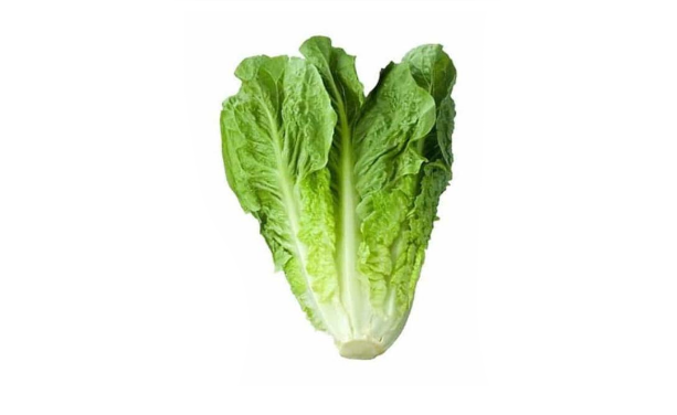 کاهو رسمی درجه یک – 1 کیلوگرم 