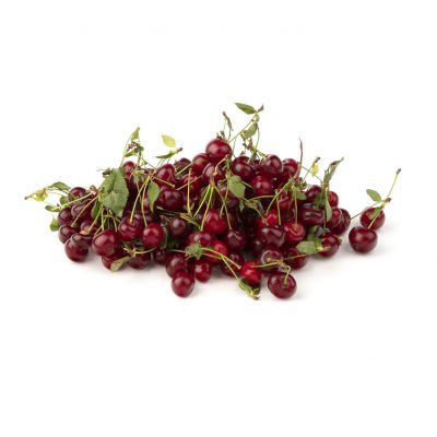 آلبالو پیوندی – 1 کیلوگرم